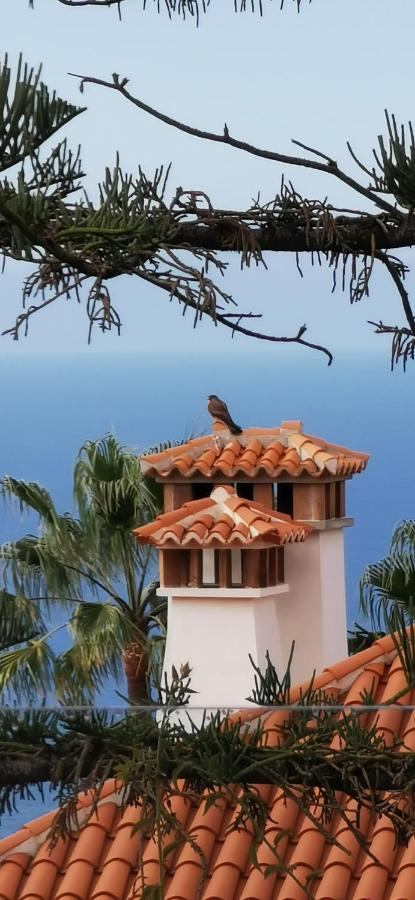 Villa Casa Moja - La Palma Tazacorte Exterior foto